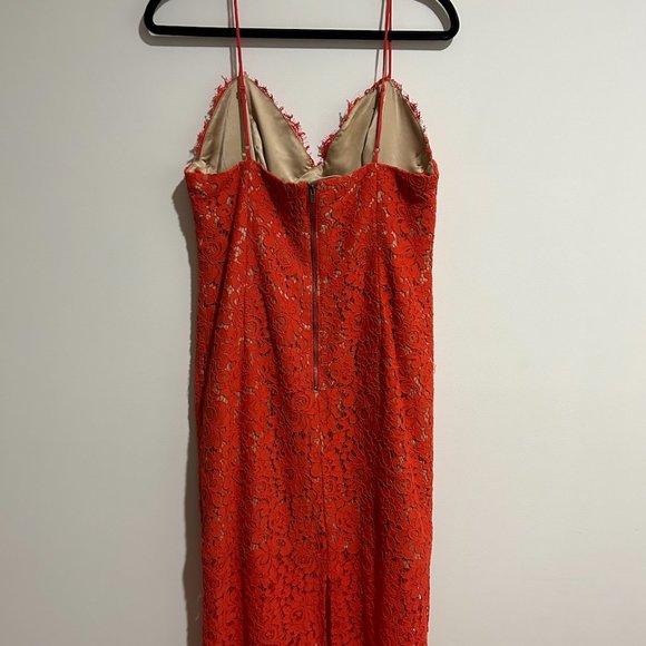 Bardot Sienna Lace Midi Dress - Picture 4 of 5